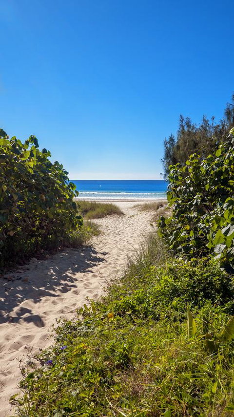 Bilinga Beach Motel - Accommodation BNB 26