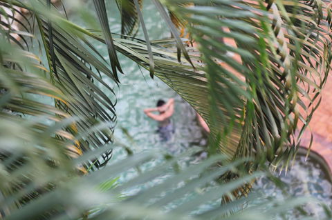 Coral Tree Inn - Accommodation BNB 36