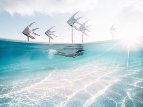 Coral Tree Inn - Accommodation BNB 39