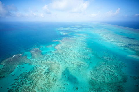 Coral Tree Inn - Accommodation BNB 37