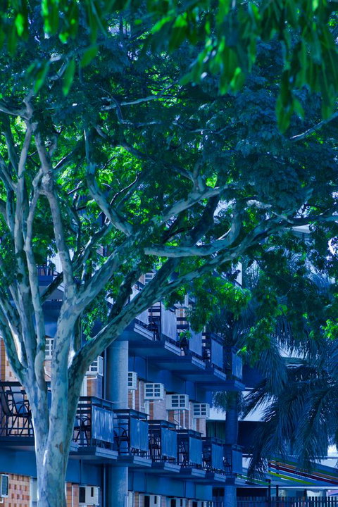 Soho Brisbane - Accommodation BNB 12