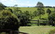 Malanda Manor Guesthouse - thumb 17
