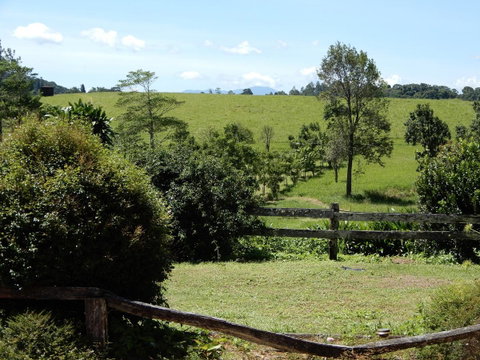 Malanda Manor Guesthouse - Accommodation BNB 17