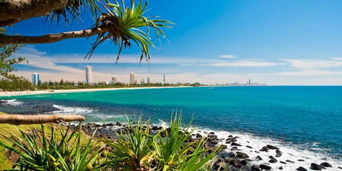 Private Guest Suite High On Currumbin Hill - Accommodation BNB 23