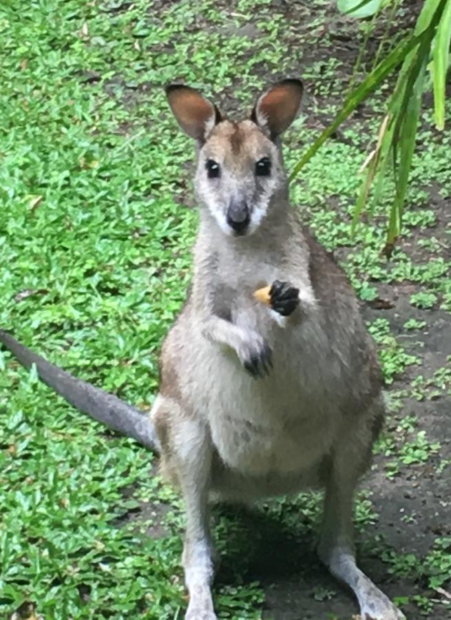 Trinity Park QLD Accommodation BNB