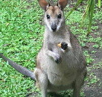 Bluewater Bed  Breakfast Cairns - Accommodation BNB