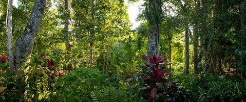 Sharlynn By The River - Accommodation BNB 5