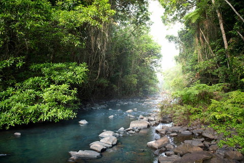 Sharlynn By The River - Accommodation BNB 9