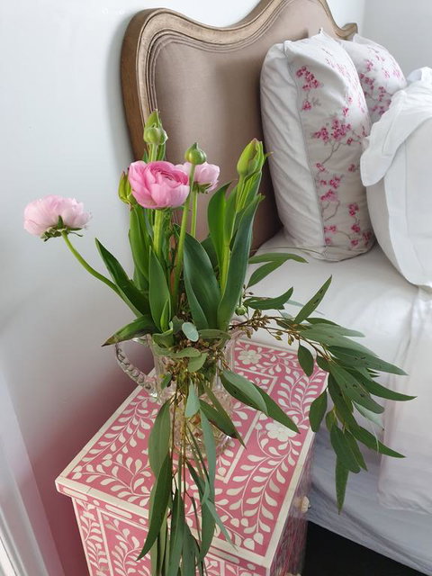 Webster Terrace - Accommodation BNB 1