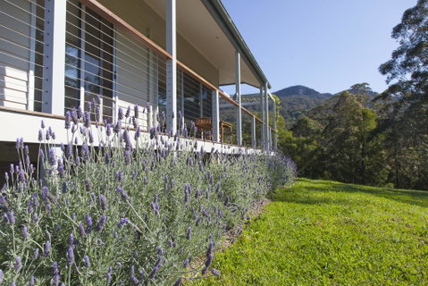 Wilderberry Cottage - Accommodation BNB 3