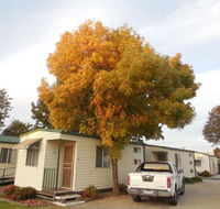Wodonga Caravan  Cabin Park - Accommodation BNB