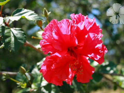Wongaburra - Accommodation BNB 1