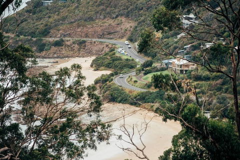 WYE UP - Through The Treetops. Out To The Sea. - Accommodation BNB 2