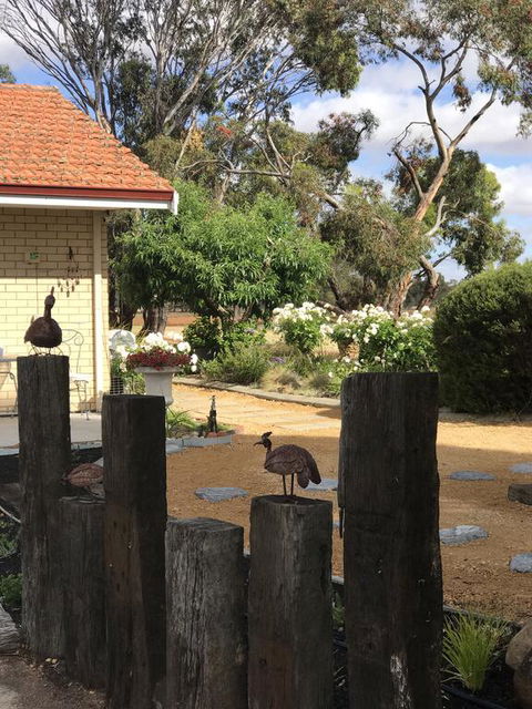 Yellow Gum Bed And Breakfast - Accommodation BNB 2
