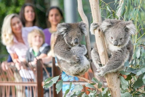 A 3BR Apt Next To Melbourne Zoo FREE Parking - Accommodation BNB 2