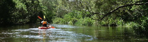 Absolute Waterfront - Accommodation BNB 33