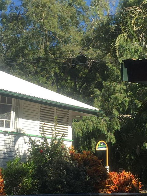 Daggoombah Holiday Home Magnetic Island - Accommodation BNB 15