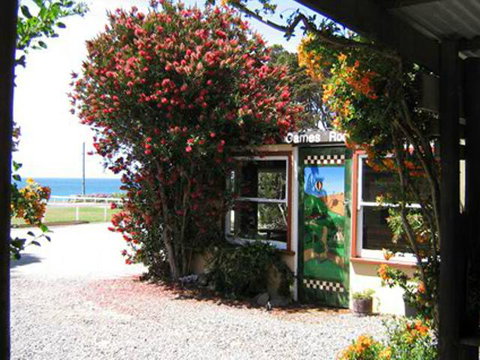King Island Accommodation Cottages - Accommodation BNB 11