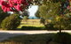 King Island Accommodation Cottages - thumb 1