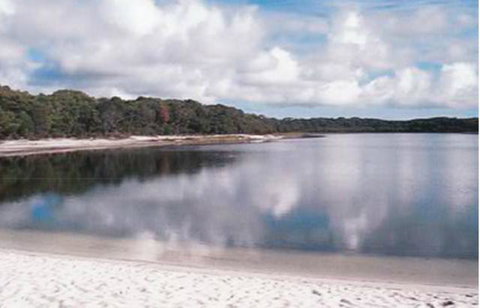 King Island Accommodation Cottages - Accommodation BNB 17