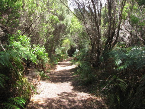 King Island Accommodation Cottages - Accommodation BNB 12