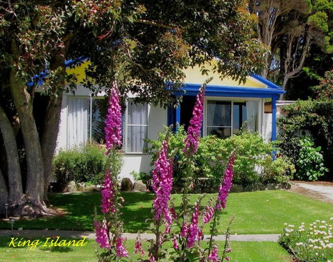 King Island Accommodation Cottages - Accommodation BNB 2