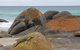 King Island Accommodation Cottages - thumb 40