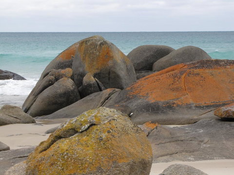 King Island Accommodation Cottages - Accommodation BNB 40