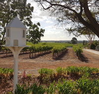'In The Vines' Guest Cottage Barossa Valley - Accommodation BNB