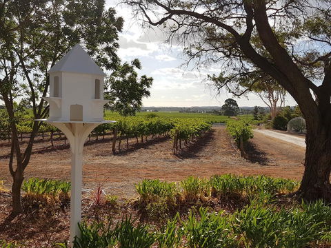 'In The Vines' Guest Cottage, Barossa Valley - Accommodation BNB 0