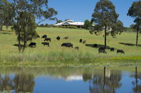 Book Nabiac Accommodation Vacations Accommodation BNB Accommodation BNB