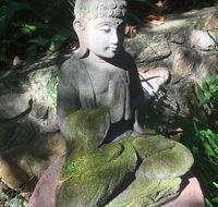 'The Tree House.' Treetop living near the ocean Coolum Beach QLD Australia - Accommodation BNB