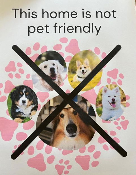 C4 Miles Beach Shack - Accommodation BNB 2