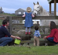 28 gates Luxury Farmstay and Fishery - Accommodation BNB