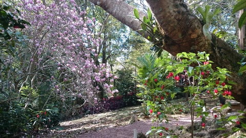 305 Montville - The Artist's Cottage - Accommodation BNB 3