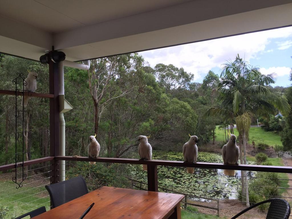  Accommodation BNB