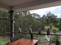 Book Gold Coast Accommodation Accommodation BNB Accommodation BNB