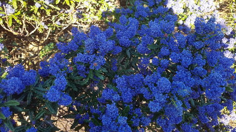 505 CONROD STRAIGHT MOUNT PANORAMA - Accommodation BNB 2