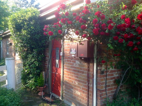 A Country Barn Retreat - Accommodation BNB 2