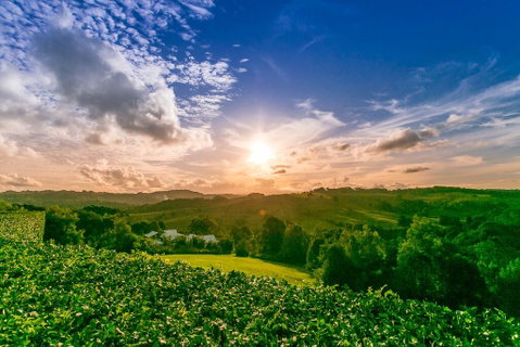 A PERFECT STAY - Byron's Brae - Accommodation BNB 3