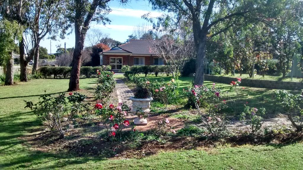 Aberdeen NSW Accommodation BNB