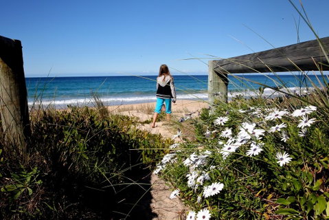 Absolute Beachfront Mollymook - Accommodation BNB 3