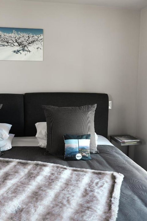 Diana Alpine Lodge - Accommodation BNB 2
