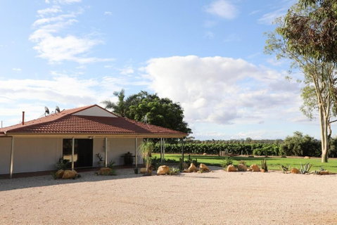 Dreamy Abode - Vineyard Retreat - Accommodation BNB 0