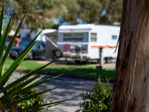 Echo Holiday Parks - Windsor Gardens - Accommodation BNB 4