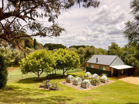 Elevation652 At Mt Bellevue In King Valley - Accommodation BNB 1