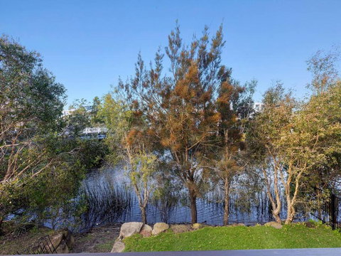 Friday Island Cabarita - Accommodation BNB 1