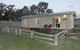 Glenview Alpaca Farm - thumb 0
