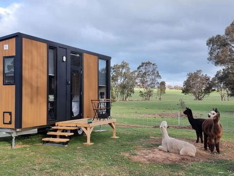 Grampians Views Moyston By Tiny Away - Accommodation BNB 0