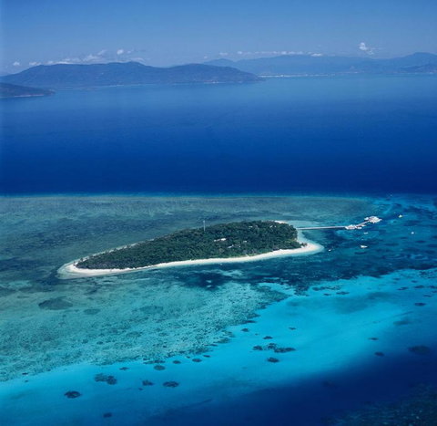 Green Island Resort - Accommodation BNB 1